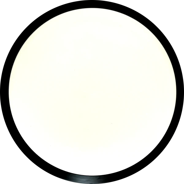 MVP Neutron Tesla (blank)