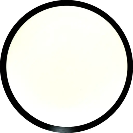 MVP Neutron Tesla (blank)